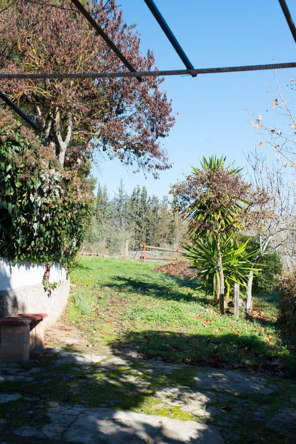 Apartamento Rural Cristi Ronda Exterior photo