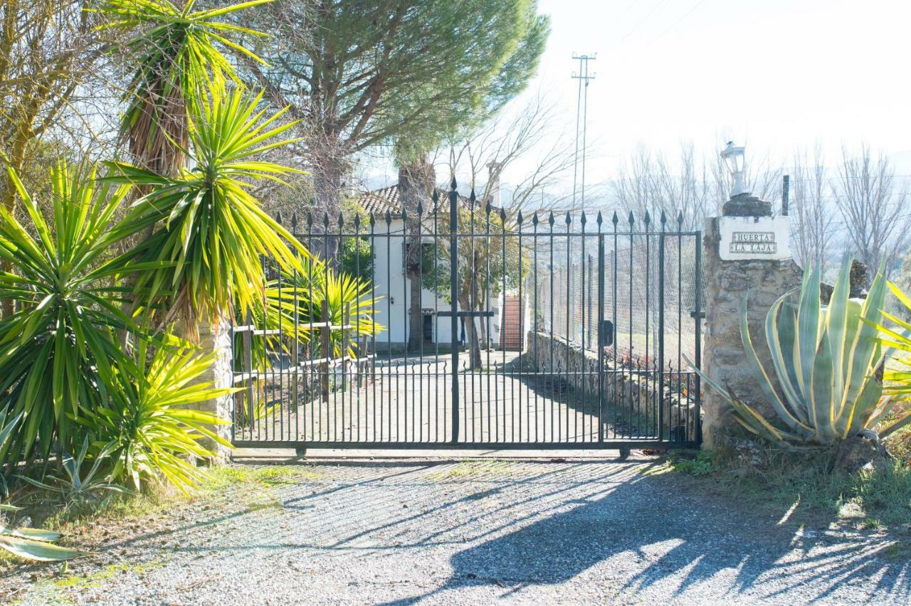 Apartamento Rural Cristi Ronda Exterior photo